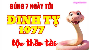 Thần Tài Gõ Cửa: Đinh Tỵ 1977 - Đúng 7 Ngày Tới Trúng Đậm Phất Lên Giàu Hiếm Có