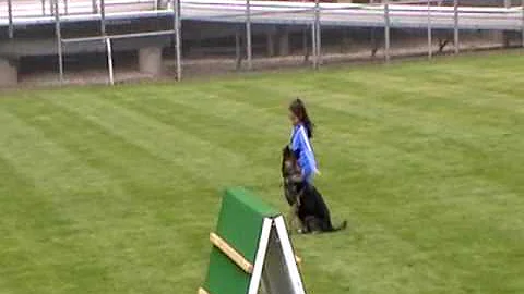 Samantha 2010 WDC Schutzhund-Obedi...