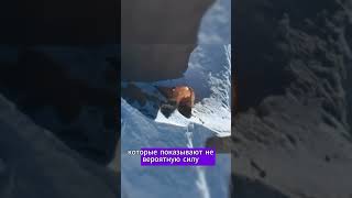 Видео Натальи Наговицыной на пике Победы: Уверенно машет рукой дрону!!