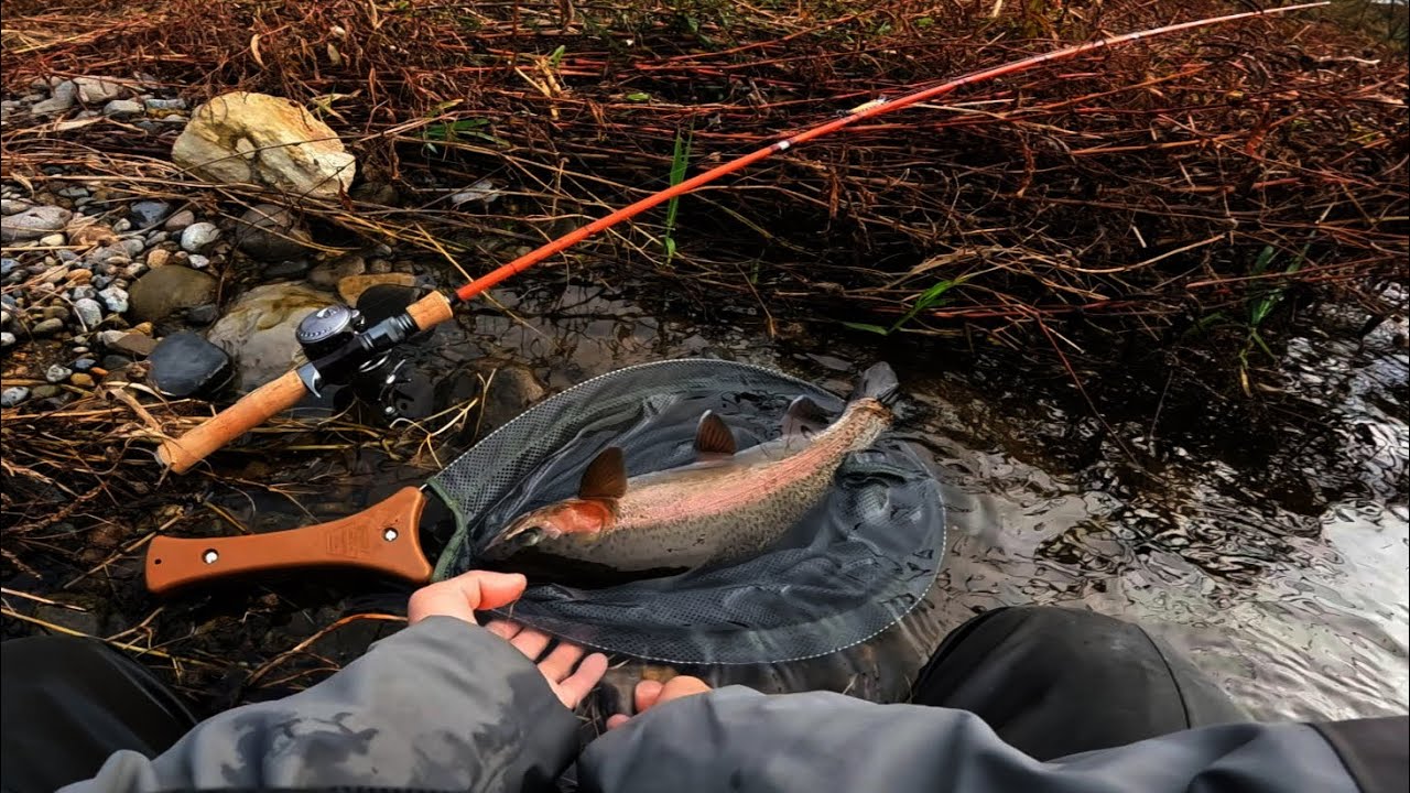 【本流虹鱒】"オレノヒッサツ"