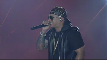 Limbo Live - Daddy Yankee