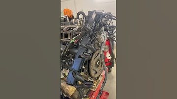 Audi q7 Cayenne Touareg 3.6fsi VR6 #timingchain #shorts