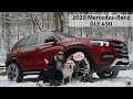 2020 Mercedes-Benz GLE 450: Andie the Lab Review! #MercedesBenz #LabTested #allkindsofstrength