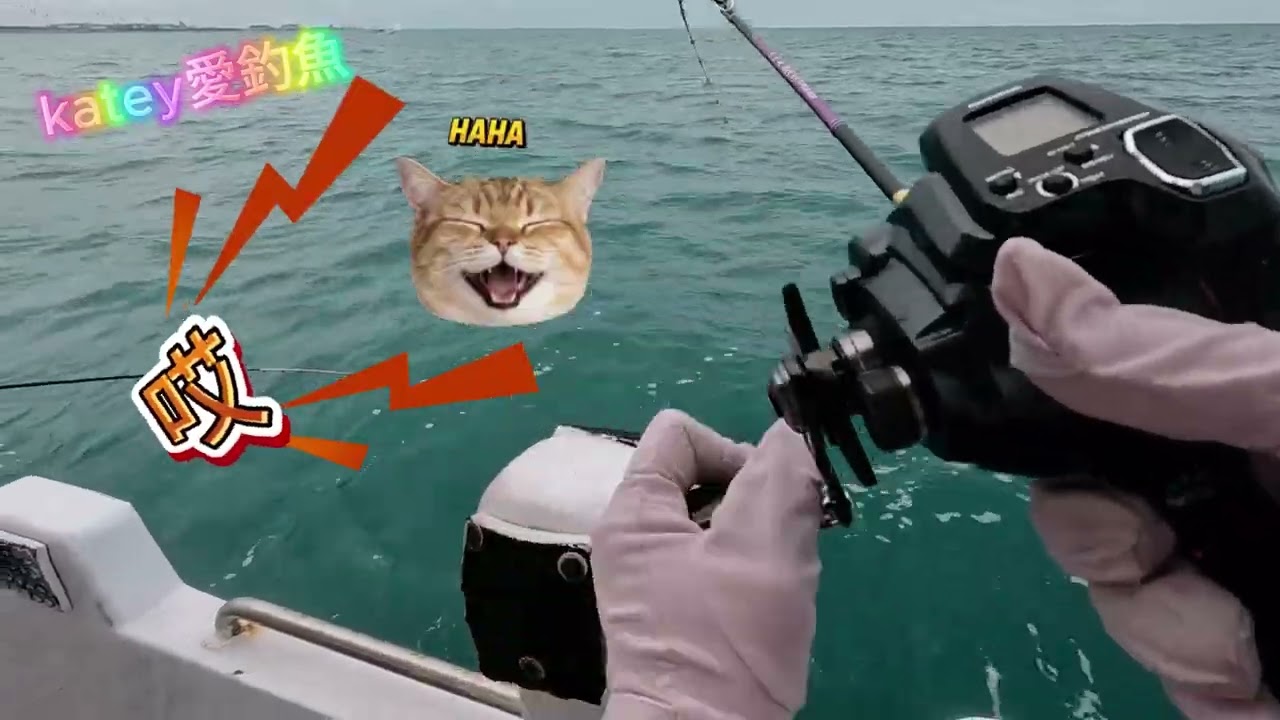 🌈Katey❤️🐠 為何我釣到這個😳 台湾の女性釣り fishing 여성 낚시