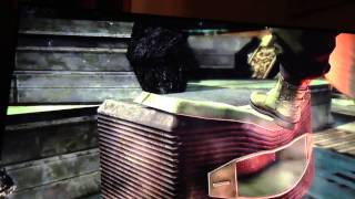 IMG 1348