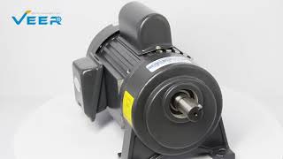 High Torque Medium Gear Reduction Motor with Brake and Speed Adjustable