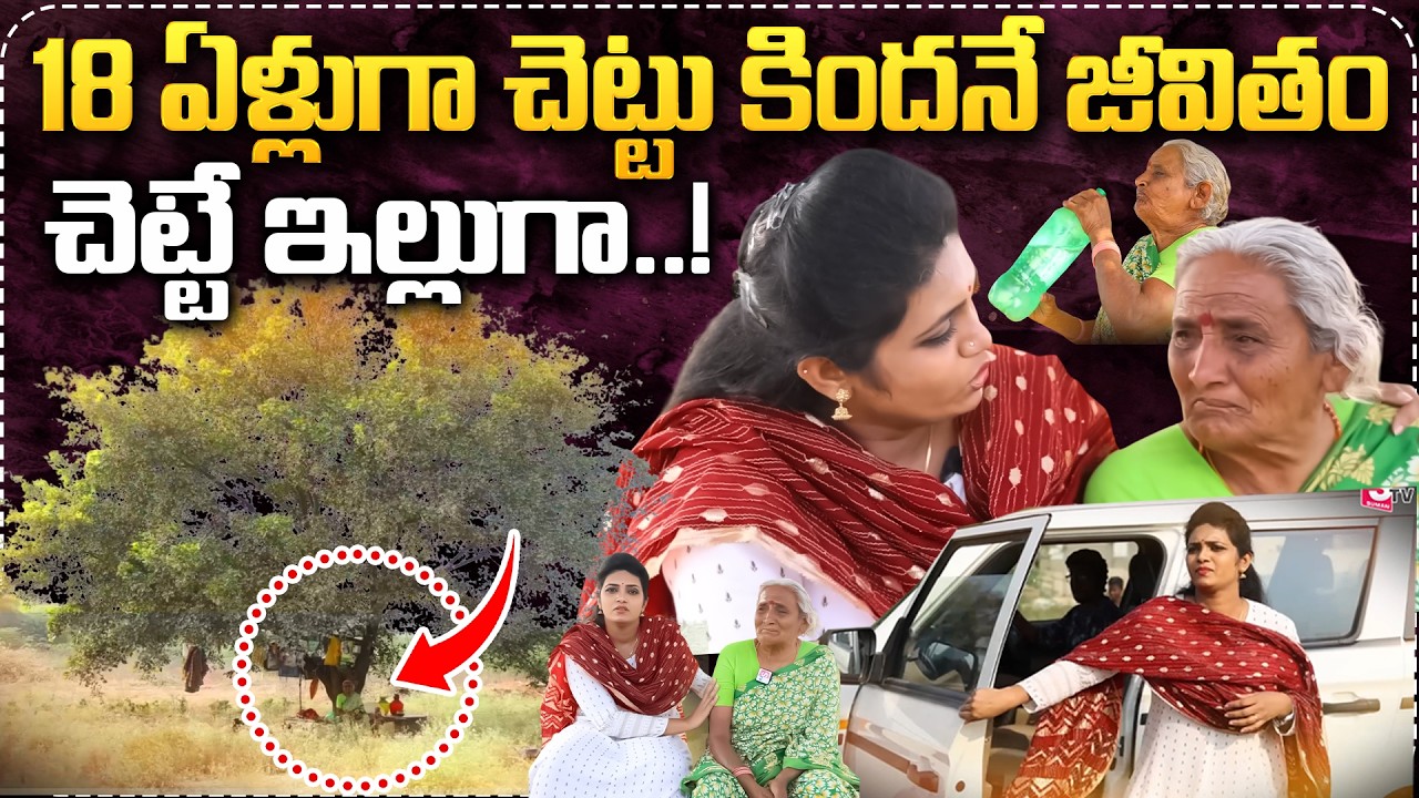 Sad Story Of Old Women | Old Women Living Her Life Under a Tree From Past 15 Years | Suman TV