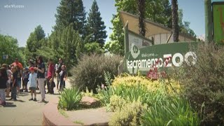 ‘We Want A Zoo!’ group pushing for Sacramento Zoo to relocate to Natomas