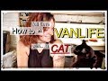 How To FULL-TIME Vanlife With a CAT- The Basics