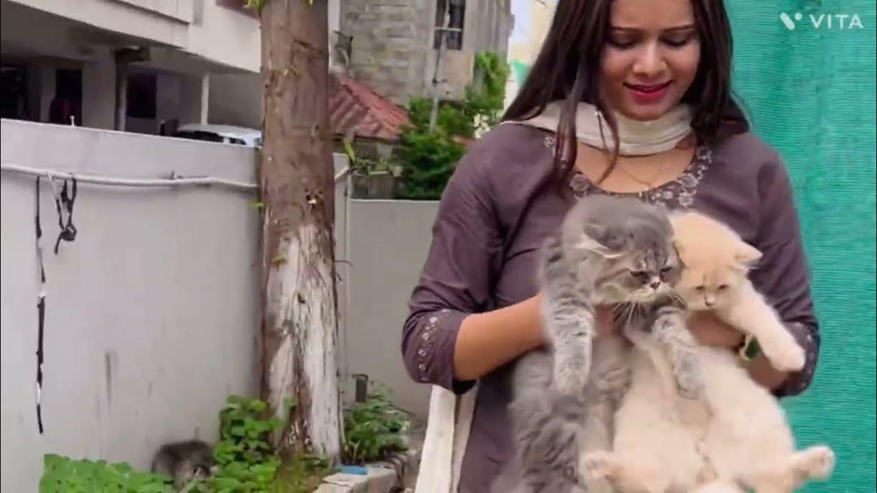 My CATTERY’S day vlog 3 how to keep kittens healthy how to take