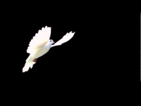 Shotgun Down the Avalanche - Shawn Colvin