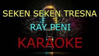 SEKEN SEKEN TRESNA_RAY PENI_KARAOKE🎤