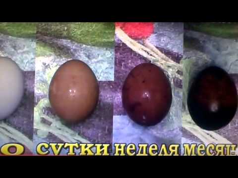 Что Будет Если Положить Фото