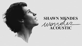 Shawn Mendes - Wonder (Acoustic)