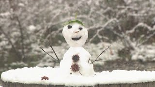 Rare snowfall creates wondrous wintry scenes across Bay Area