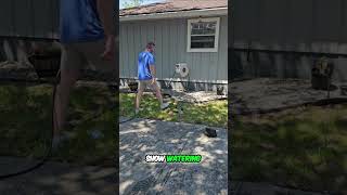 Hose Reel: The Real Star? #shorts