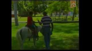 Así fue este verano en el Campismo las Clavellinas