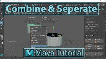 Combine and separate mesh | Autodesk Maya | Hindi Tutorial | Chapter 12