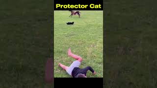 cats protective nature #cat #catvideos