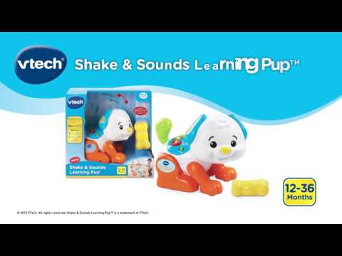 shake & sounds learning pup