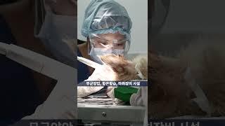 국내 최고의 2차 동물병원, 예은동물의료센터 ✨