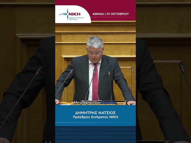 «Θεία είμαστε από τη ΔΕΗ» | Η αναφορά του Δ. Νάτσιου στους Ρομά