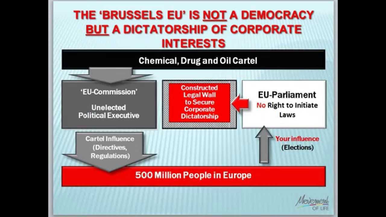 The 2014 Brussels EU Parliament Elections