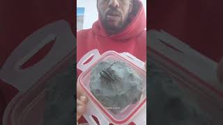 Rare Psychopyge Trilobite🦴385 Million Years Old | Devonian Fossil Morocco #moroccofossils #trilobite