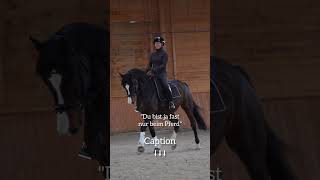 Du bist ja fast nur beim Pferd!🤯