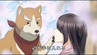 恋乱CMを “織田シナモン信長”の柴犬で再現／「天下統一恋の乱 Love Ballad ～華の章～」×TVアニメ「織田シナモン信長」バレンタインコラボムービー