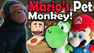 AMB - Mario's Pet - YouTube