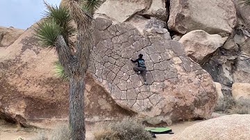 Sweetie Pie V0 (Joshua Tree, CA)