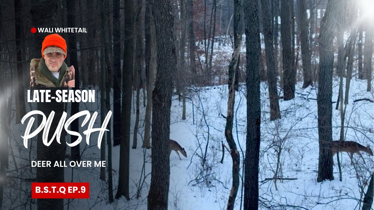 Олени повсюду! | Поздний рывок в сезоне | Поиск трофея в штате Огайо, эпизод 9