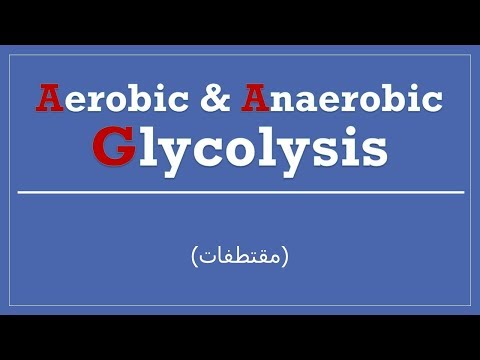 Comparison Between Aerobic