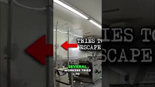 Immigration Status Raids: Workers Flee Border Patrol! #shorts
