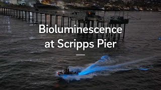 Bioluminescence at Scripps Pier in La Jolla, Calif.