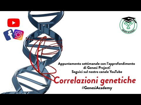 Video: Un Nuovo Genoma Di Riferimento Per Il Sorgo Bicolore Rivela Alti Livelli Di Somiglianza Di Sequenza Tra Genotipi Dolci E Granulari: Implicazioni Per La Genetica Del Metabolismo Del