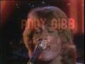 i just want to be your everything - andy gibb