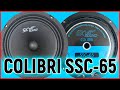 Эстрадная акустика SKYSOUND COLIBRI SSC 65, распаковка, обзор, прослушивание с твитером и 20