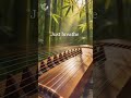 Relax In 15 Seconds☘️ #guzhengmusic #relaxingmusic #relax #music #chineseinstrumental #chanbamboo01