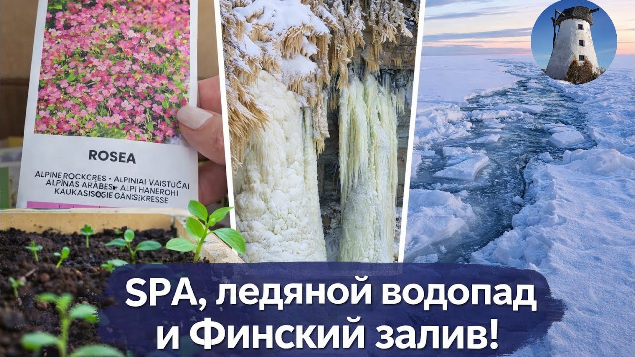 Эстония.Отдых на несколько дней в SPA — перезагрузка,  вкусная еда...но все-же хочется домой..