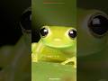 ऐसे जीव जिनके आरपार देखा जा सकता है#glassfrog #amazingfacts #topamezingfacts#viralshort
