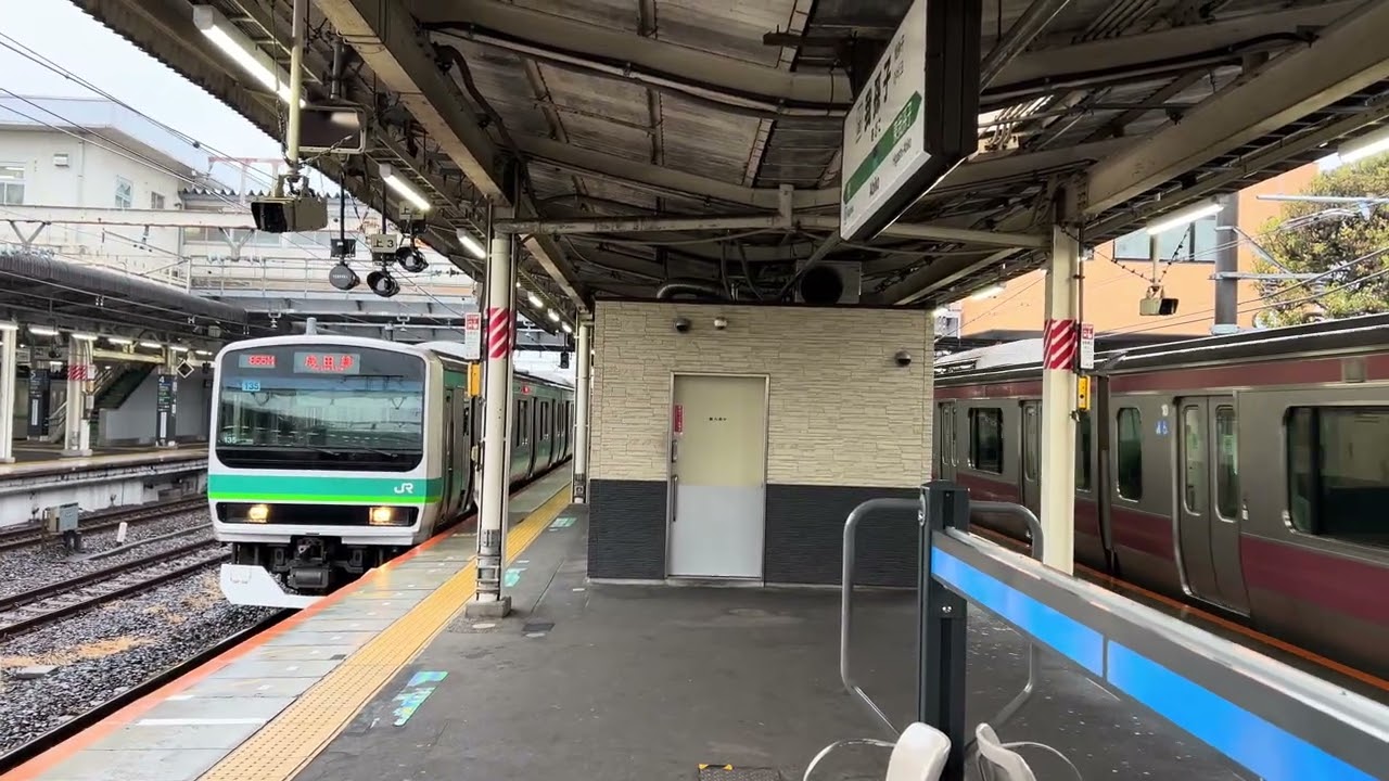 意外とテイチク王国