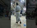 اقوى رقص مزمار رداعي مزمار اعراس رداع قرن الاسد