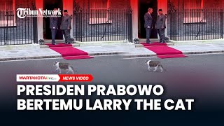 Presiden Prabowo Bertemu Larry The Cat Saat Kunjungi Kantor Pm Inggris