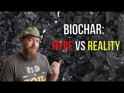 The Truth About Biochar: How to Use It Correctly (And What to Avoid)