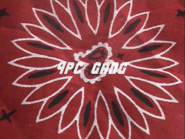 4PC GANG // GANG VIDEO class=