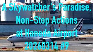 A Skywatcher's Paradise, Non-Stop Actions at Haneda Airport 20260314 #9 #japan #tokyo #haneda #fly