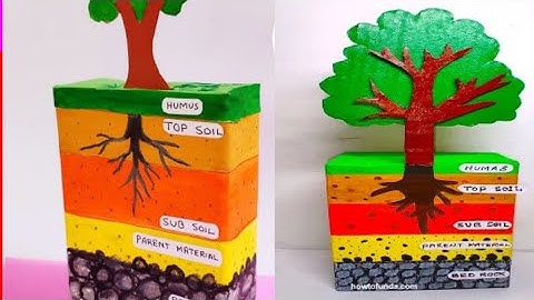 Soil layer  model easy idea/Soil profile model school project/Layers of soil project making#soil