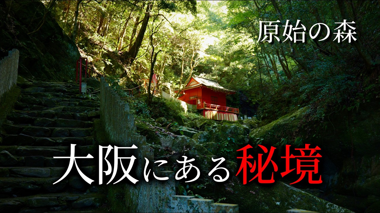 大阪にこんな秘境が！【犬鳴山】七宝瀧寺：泉佐野市